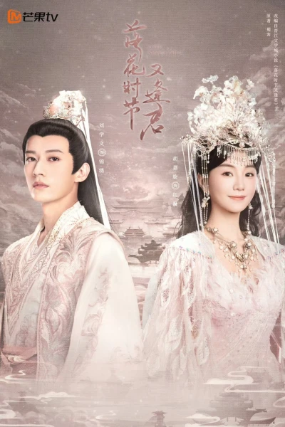 Mùa Hoa Rơi Gặp Lại Chàng